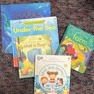 Usborne Lift-the-Flap Learning Book Collection